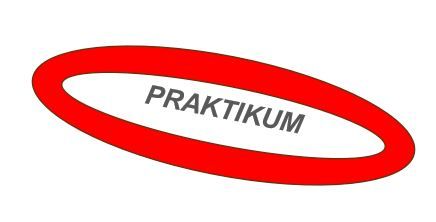 PRAKTIKUM